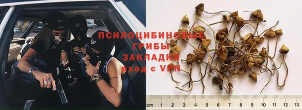 ешки Баксан