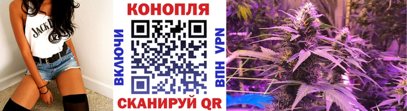 Бошки Шишки гибрид  Нурлат 
